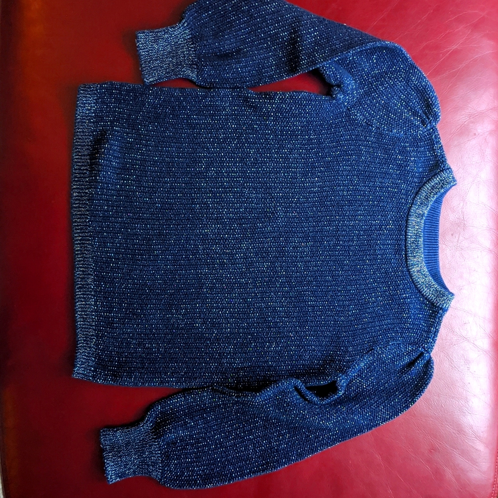 GAP Navy Blue Sweater, Size Small